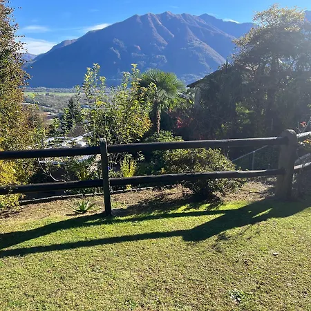 Small Green Views Apartment *