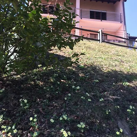 Green View Apartment Tenero-Contra