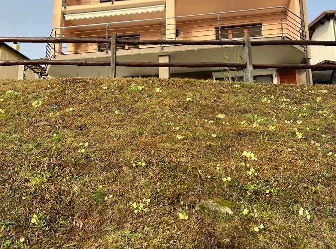 Small Green Views Apartment Tenero-Contra