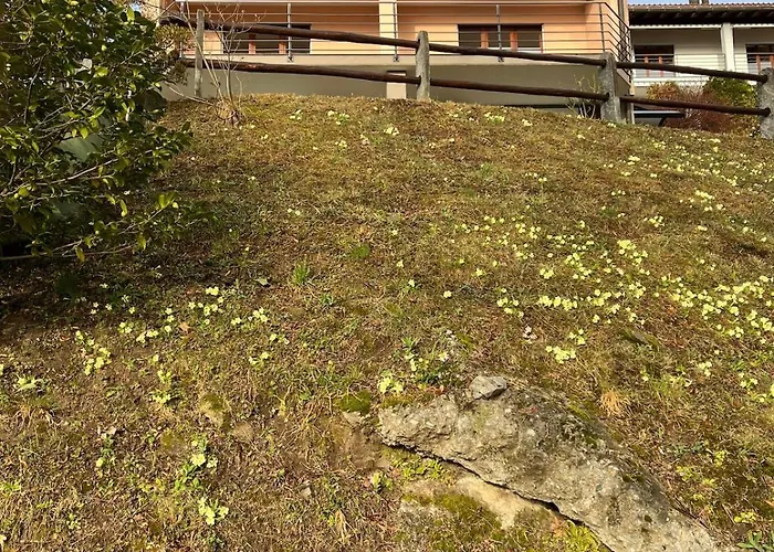 公寓 Small Views *