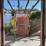 Small Views Апартаменты Контра
